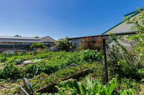 Photo of property in 36 Opie Street, Waimate, 7924