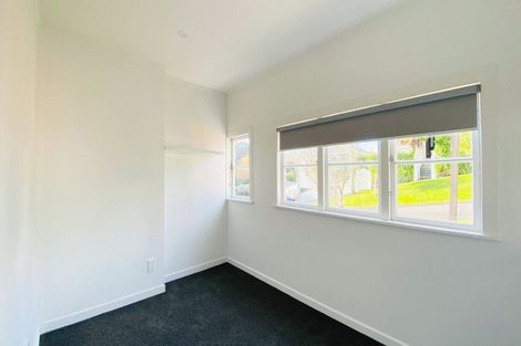 Photo of property in 26 Buchanan Street, Kingsland, Auckland, 1021