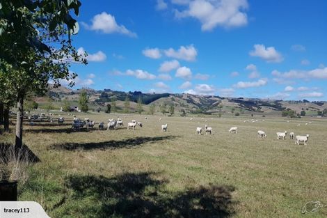 Photo of property in 34 Admiral Road, Gladstone, Masterton, 5883