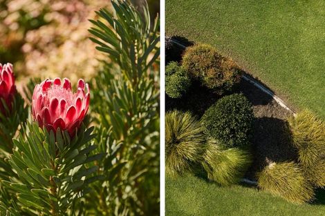 Photo of property in 107 Armstrong Road, Te Puna, Tauranga, 3174