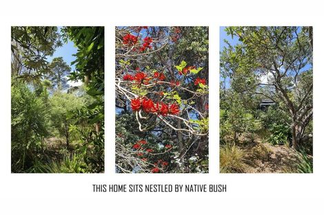 Photo of property in 57 Hauraki Road, Leigh, Warkworth, 0985