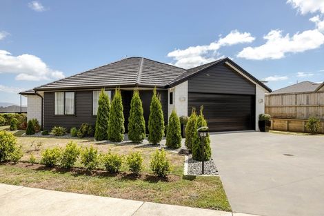 Photo of property in 68 Bert Wall Drive, Omokoroa, 3114