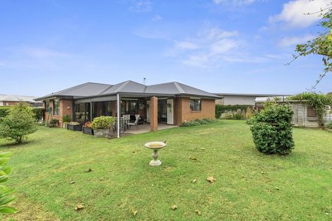 Photo of property in 14 Burmester Place, Morrinsville, 3300