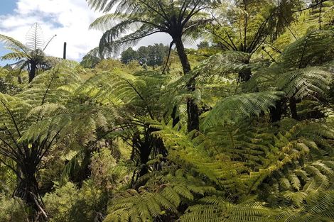 Photo of property in 135 Pumpkin Hill Road, Pumpkin Hill, Whitianga, 3591