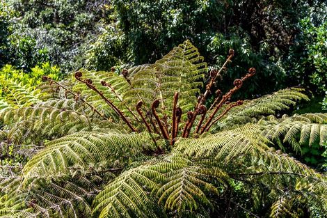 Photo of property in 20 Tutaritari Road, Hahei, Whitianga, 3591