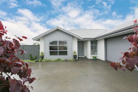 Photo of property in 19 Percy Berry Place, Havelock North, 4130