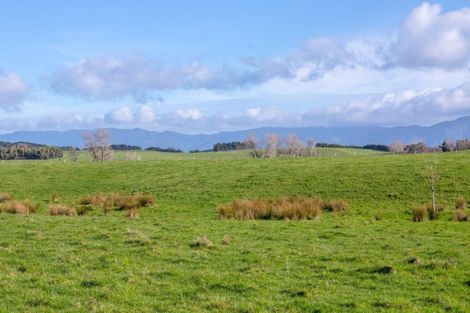 Photo of property in 962 Lake Ferry Road, Dyerville, Martinborough, 5781