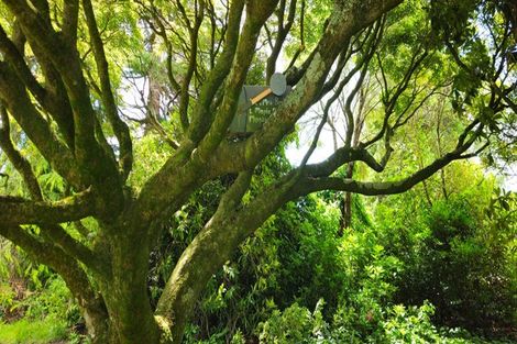 Photo of property in 8 Winter Road, Menzies Ferry, Wyndham, 9891