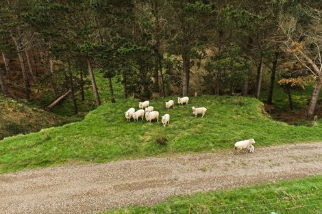 Photo of property in 86 Te Tuhi Road, Okauia, Matamata, 3471