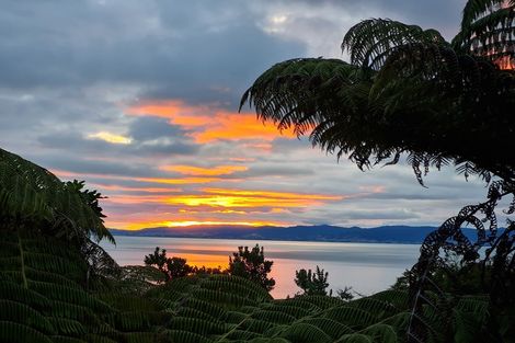 Photo of property in 530 Thames Coast Sh25 Road, Te Puru, Thames, 3575