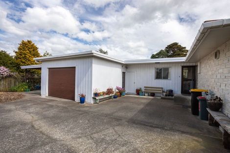 Photo of property in 17 Rawhiti Street, Dannevirke, 4930
