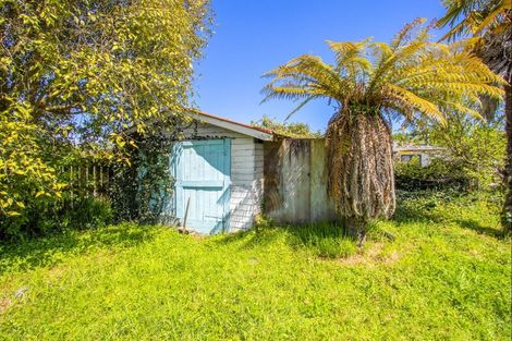 Photo of property in 123 Miro Street, Manunui, Taumarunui, 3924