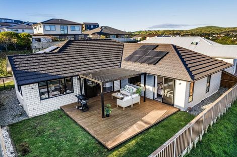 Photo of property in 145 John Burke Drive, Aotea, Porirua, 5024