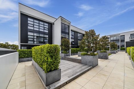 Photo of property in 202/8 Kingsland Terrace, Kingsland, Auckland, 1021