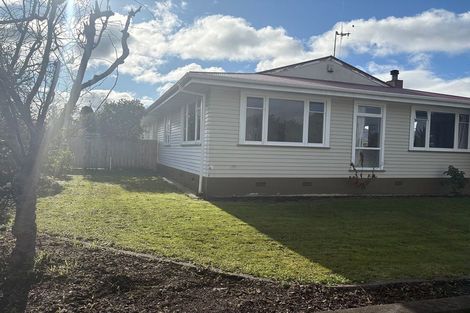 Photo of property in 17 Haggitt Street, Feilding, 4702