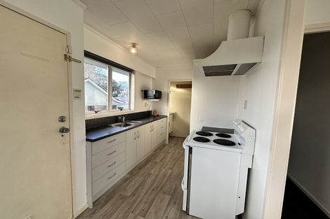 Photo of property in 224 Nixon Street, Hamilton East, Hamilton, 3216