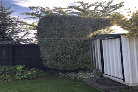 Photo of property in 45a Roberta Drive, Somerfield, Christchurch, 8024