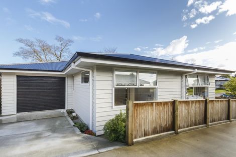 Photo of property in 39a Sheffield Street, Awapuni, Palmerston North, 4412