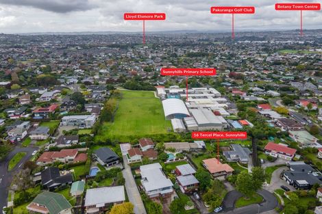 Photo of property in 16 Tercel Place, Sunnyhills, Auckland, 2010