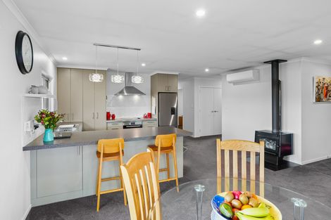 Photo of property in 21 Chamberlain Road, Masterton, 5888