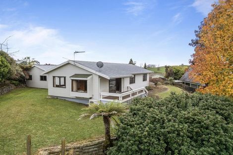 Photo of property in 17 Philip Street, Putaruru, 3411