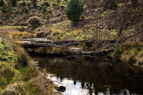 Photo of property in 81d Middle Road, Tohunga Junction, Raetihi, 4696