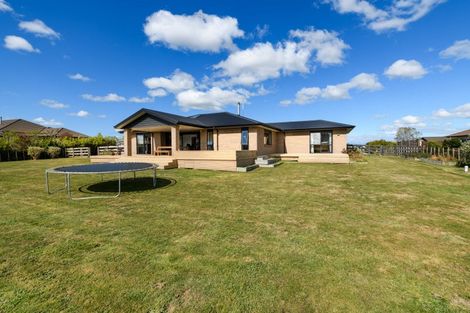 Photo of property in 14 Fallow Avenue, Feilding, 4775