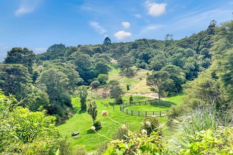 Photo of property in 791b White Pine Bush Road, White Pine Bush, Whakatane, 3191