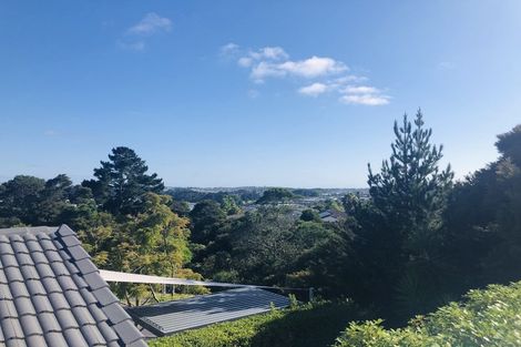 Photo of property in 14 Condor Place, Unsworth Heights, Auckland, 0632