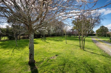 Photo of property in 104 Tollemache Road East, Longlands, Hastings, 4122