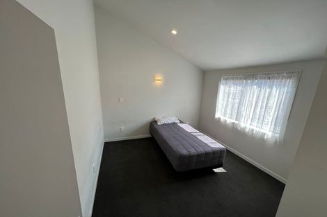 Photo of property in 130 Ulster Street, Whitiora, Hamilton, 3200