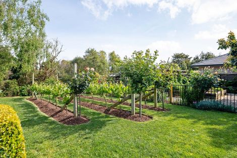 Photo of property in 33 Haswell Place, Huntington, Hamilton, 3210