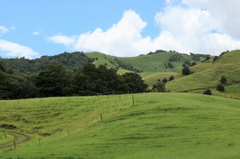 Photo of property in 1008 Tangowahine Valley Road, Tangowahine, Dargaville, 0372