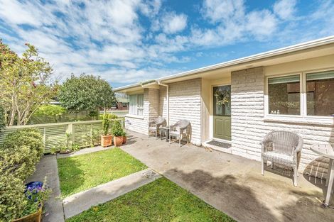 Photo of property in 41 Downes Avenue, Springvale, Whanganui, 4501