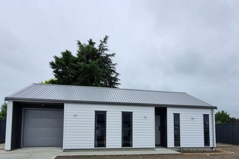 Photo of property in 38 Plains Avenue, Masterton, 5810