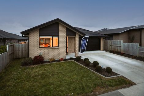 Photo of property in 6 Mccorquindale Drive, Flagstaff, Hamilton, 3210