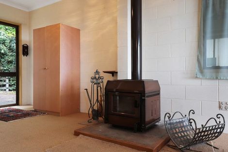 Photo of property in 887 Scenic Drive, Swanson, Henderson, 0781