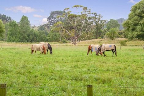 Photo of property in 132 Stoney Creek Road, Kaukapakapa, 0873