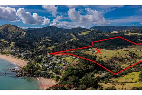 Photo of property in 1579 Colville Road, Amodeo Bay, Coromandel, 3584