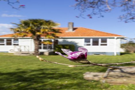 Photo of property in 26 Porritt Street, Paeroa, 3600