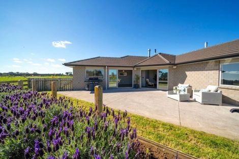 Photo of property in 313 Egmont Road, Hillsborough, New Plymouth, 4372