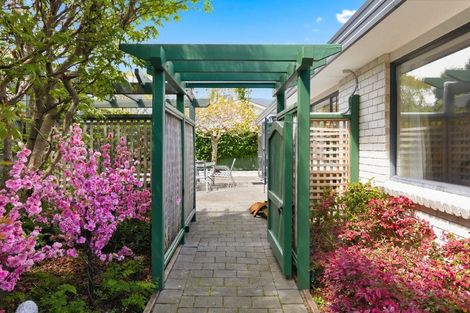 Photo of property in 5 Rimu Street, Waikanae, 5036