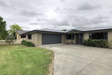 Photo of property in 19 Napier Street, Jervoistown, Napier, 4112