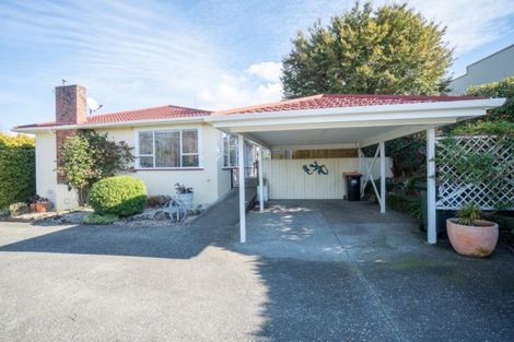 Photo of property in 86 Fitzroy Street, Terrace End, Palmerston North, 4410