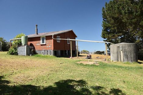 Photo of property in 74 Komiti Road, Tinopai, Matakohe, 0593