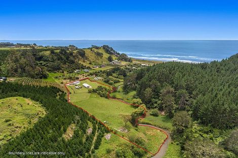 Photo of property in 603f State Highway 2 West, Pikowai, 3194