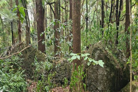 Photo of property in 729 Otaika Valley Road, Maungatapere, Whangarei, 0170