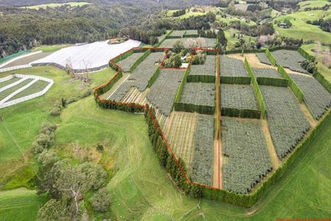 Photo of property in 43 Penmoral Lane, Lower Kaimai, Tauranga, 3171