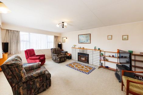 Photo of property in 17 Blenheim Place, Feilding, 4702