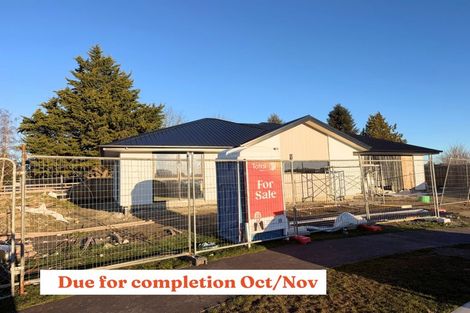 Photo of property in 79 Geoff Geering Drive, Netherby, Ashburton, 7700